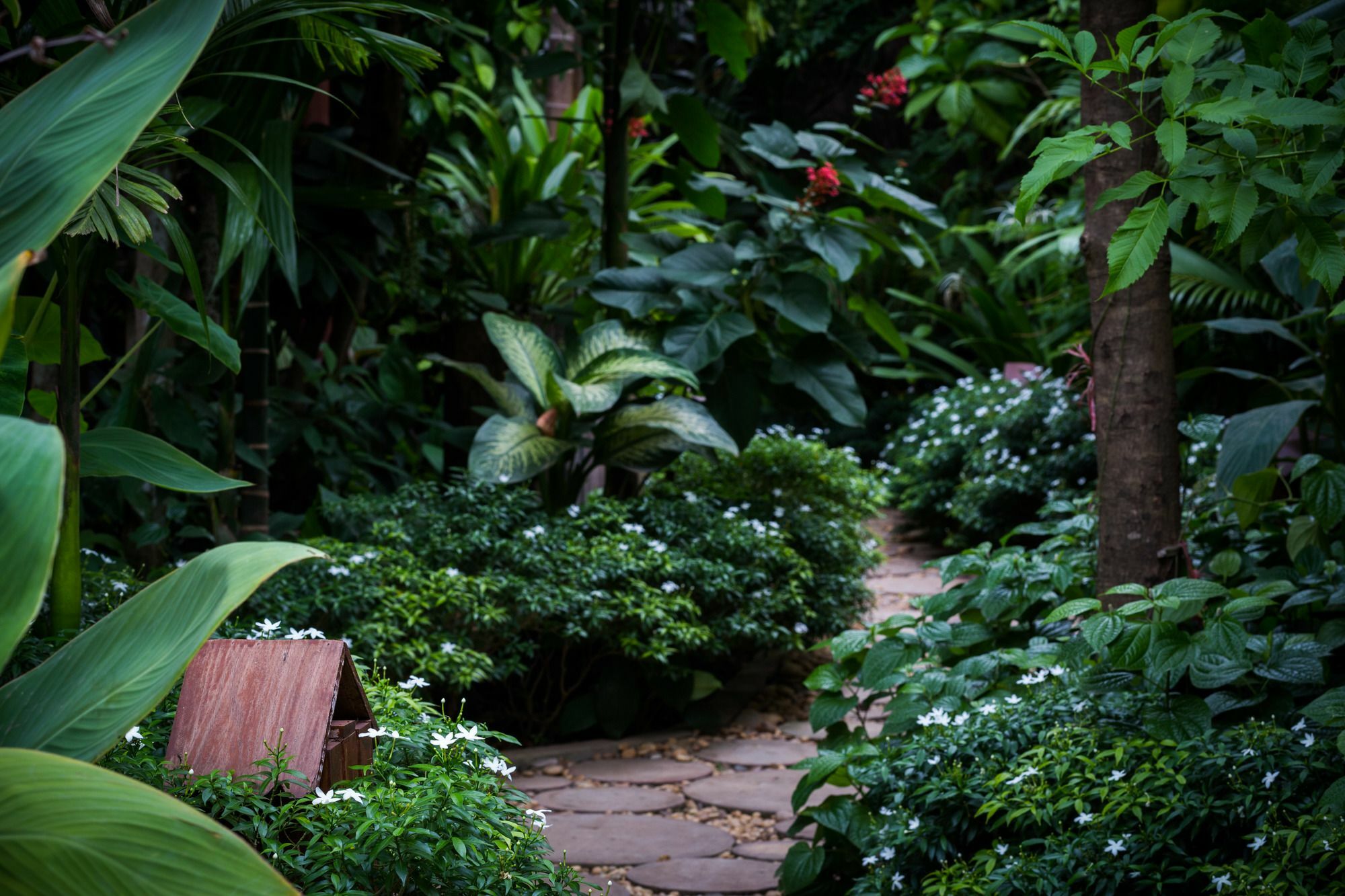 Malu Khmer Villa Siem Reap Exterior photo